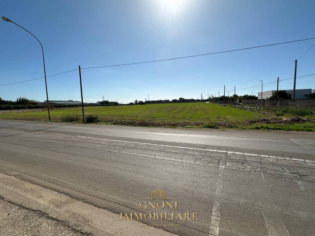 Terreno a Alezio in Via Rocci Perrella - Foto 3