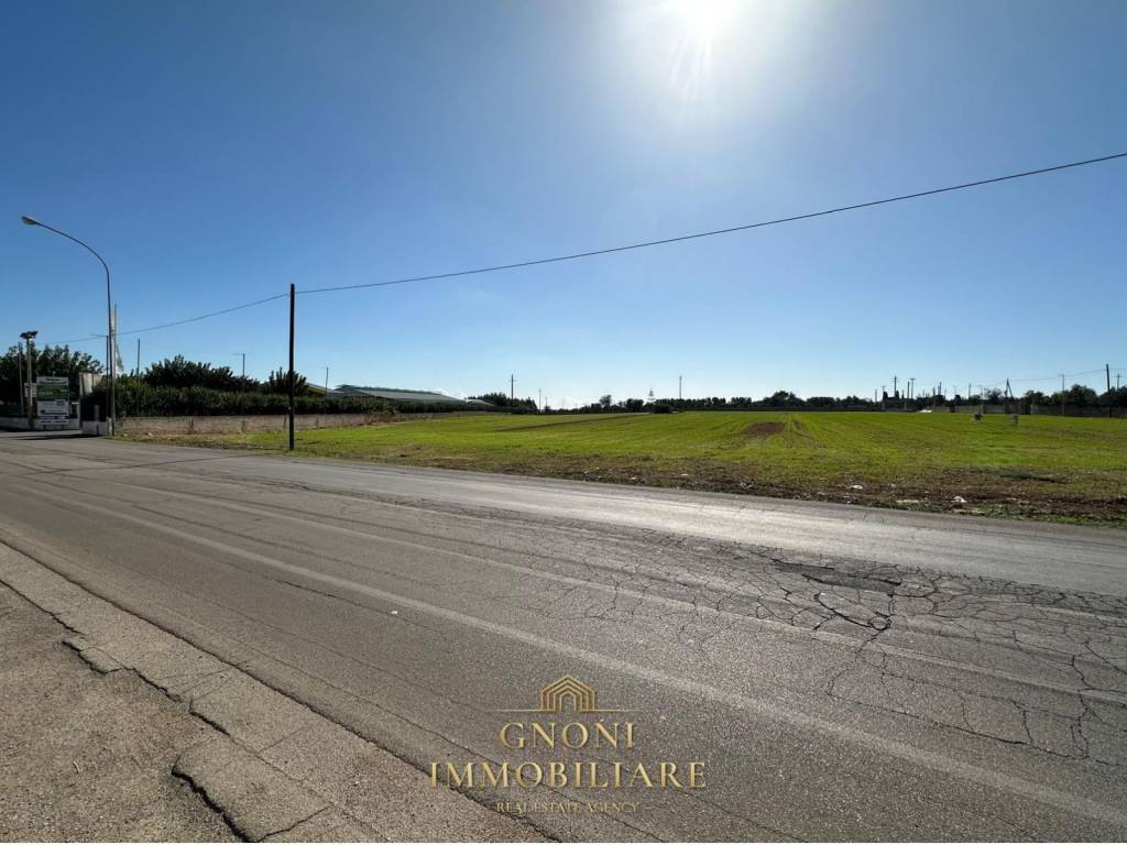 Terreno a Alezio in Via Rocci Perrella - Foto 4