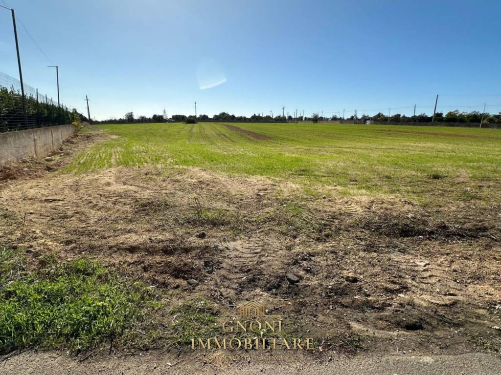 Terreno a Alezio in Via Rocci Perrella - Foto 5