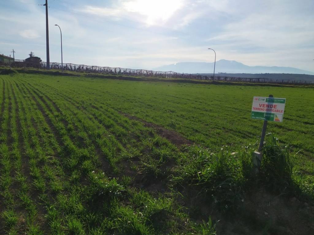 Terreno a Mozzagrogna in Contrada Castello di Sette, 21 - Foto 2