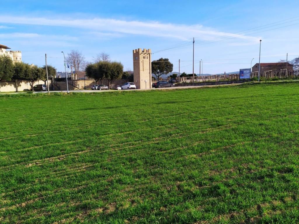Terreno a Mozzagrogna in Contrada Castello di Sette, 21 - Foto 4