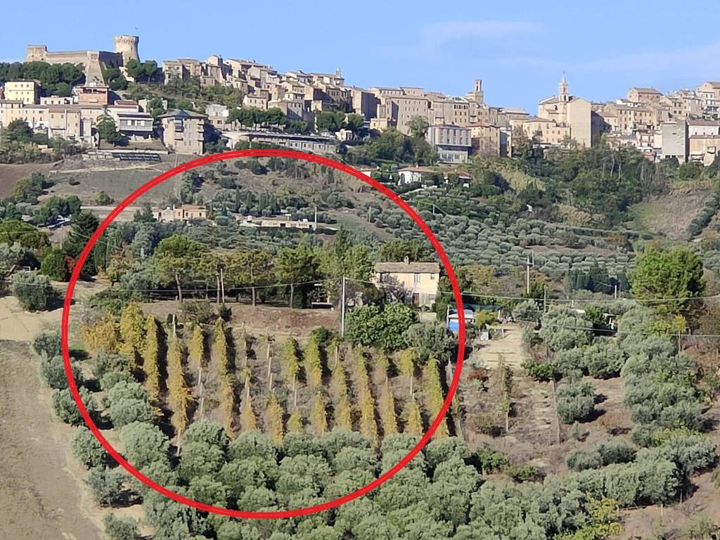 Rustico / casale a Acquaviva picena in Contrada Casarica, 11 - Foto 2