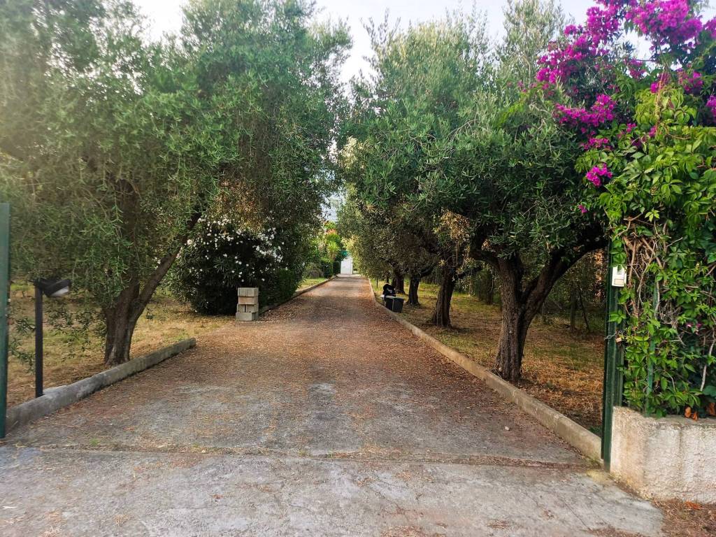 Villa a Fondi - Foto 2