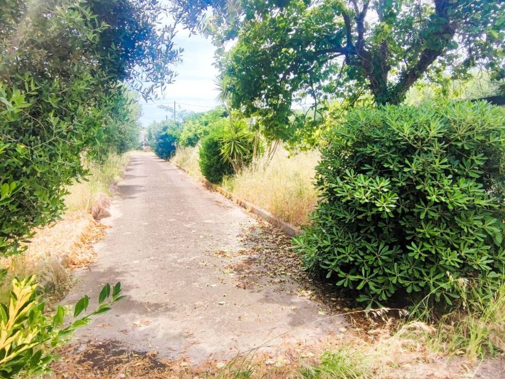 Villa a Fondi - Foto 3