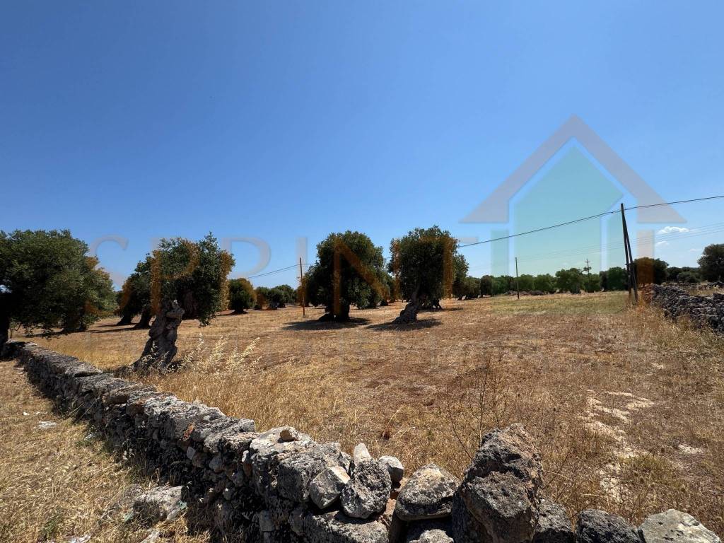 Terreno a Fasano in Contrada Ottava - Foto 3