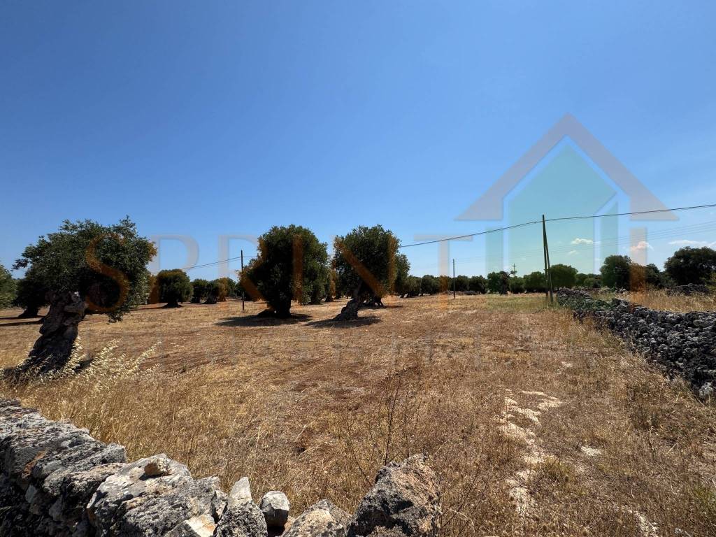 Terreno a Fasano in Contrada Ottava - Foto 4
