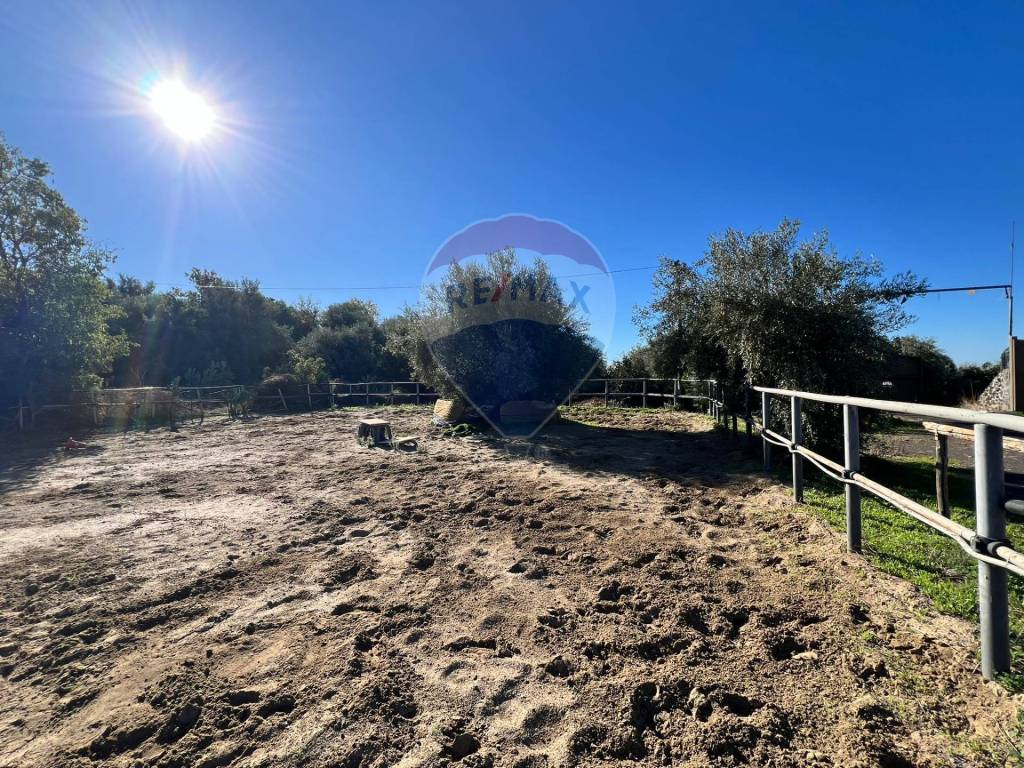 Terreno a Belpasso in Contrada Palmentelli - Foto 2