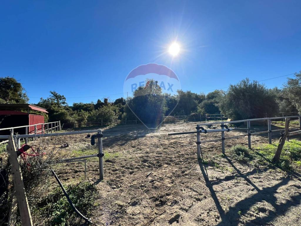 Terreno a Belpasso in Contrada Palmentelli - Foto 3