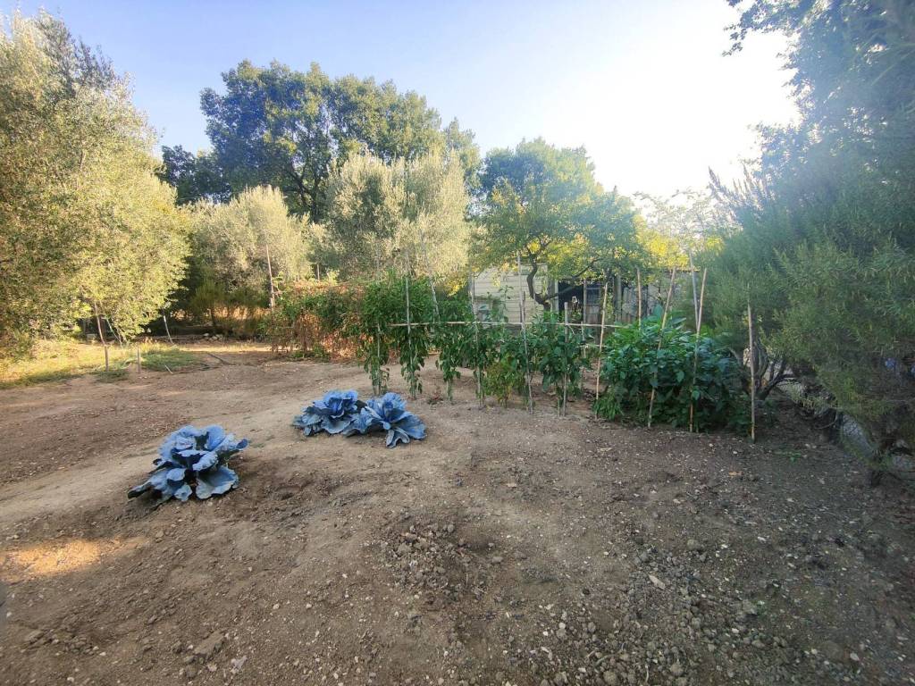 Terreno a Amelia in via rimembranze, 22 - Foto 2