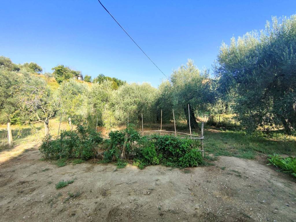 Terreno a Amelia in via rimembranze, 22 - Foto 3
