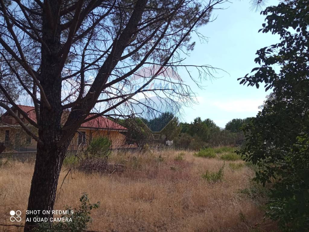 Terreno a Pedara in Via della Resistenza - Foto 5