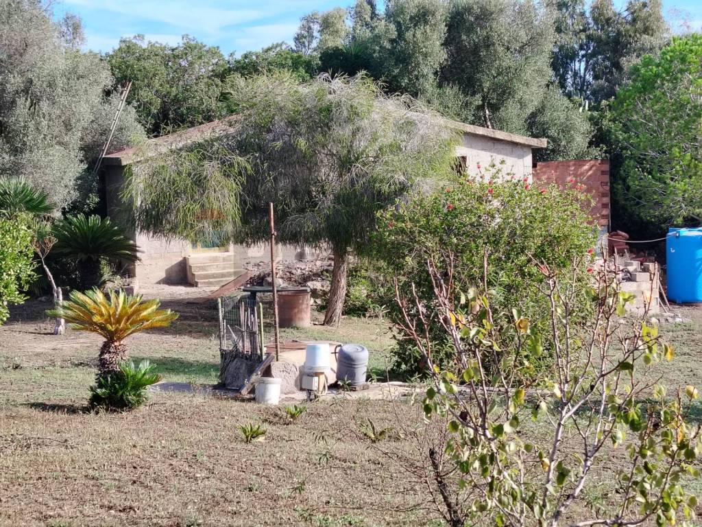 Rustico / casale a Sant'antioco - Foto 5