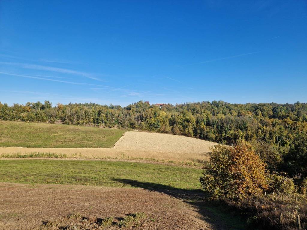 Rustico / casale a Castagnole monferrato in Via San Secondo, 47 - Foto 3