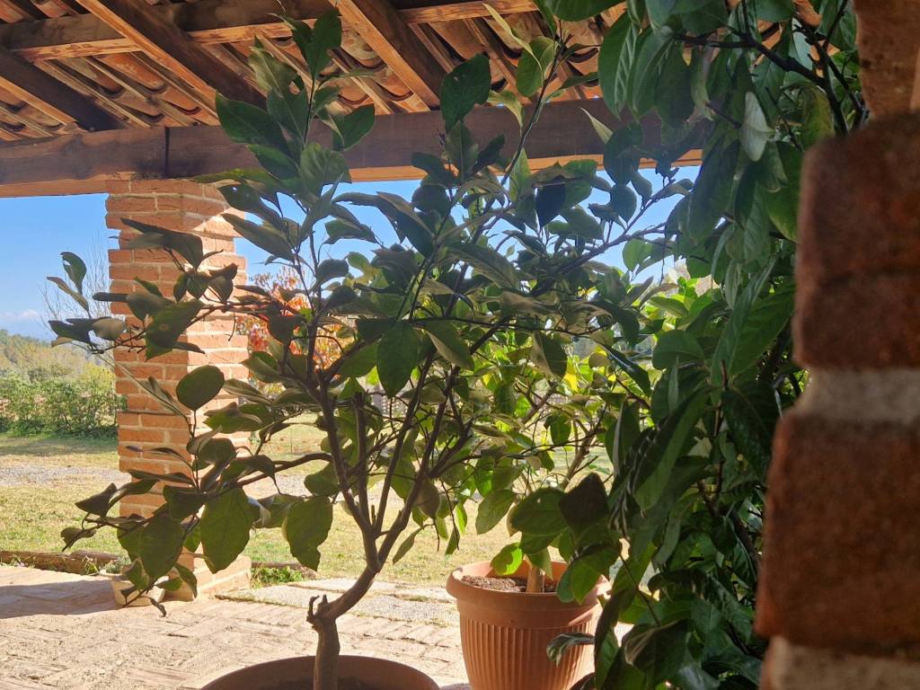 Rustico / casale a Castagnole monferrato in Via San Secondo, 47 - Foto 4