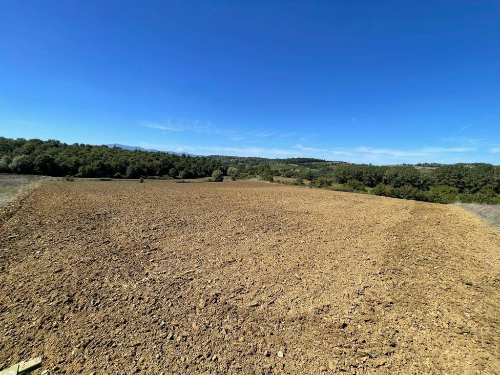 Terreno a Paciano - Foto 2