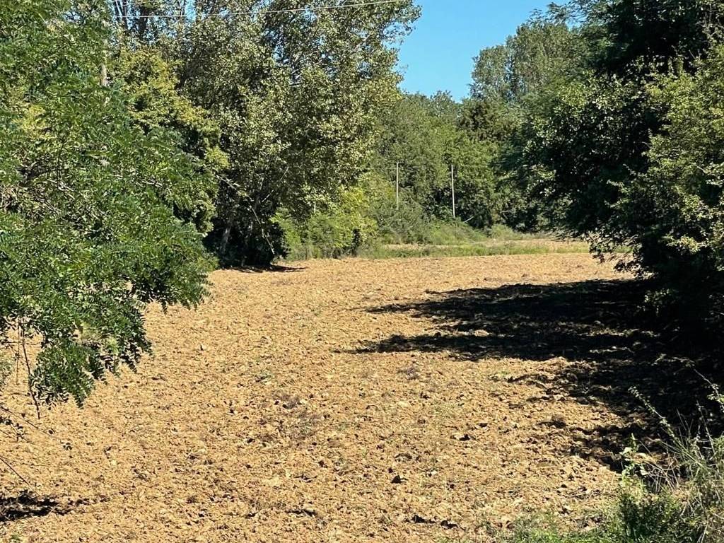 Terreno a Paciano - Foto 4