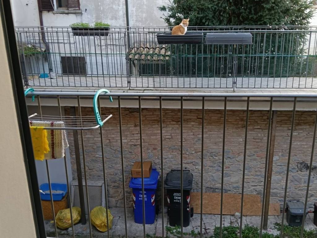 Appartamento a Sala baganza - Foto 5