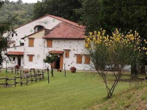 Rustico / casale a Vicchio in VIA VEZZANO 1 - Foto 3