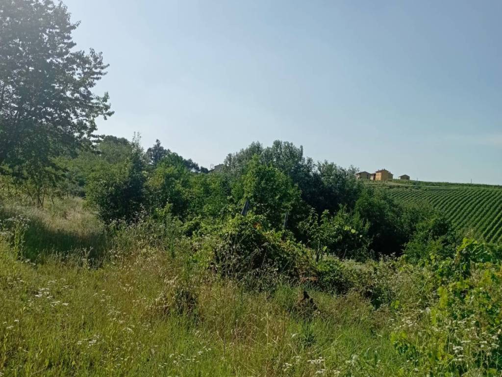 Terreno a San damiano al colle in Frazione Camporello 7/8 - Foto 2