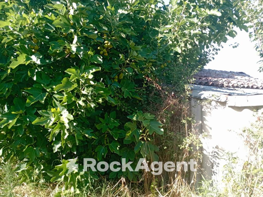 Terreno a San damiano al colle in Frazione Camporello 7/8 - Foto 3