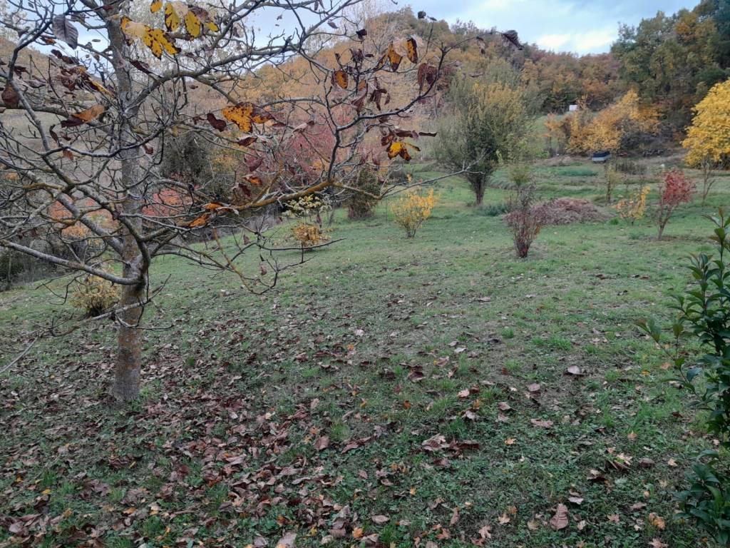 Casa indipendente a Bobbio in SP65 - Foto 5