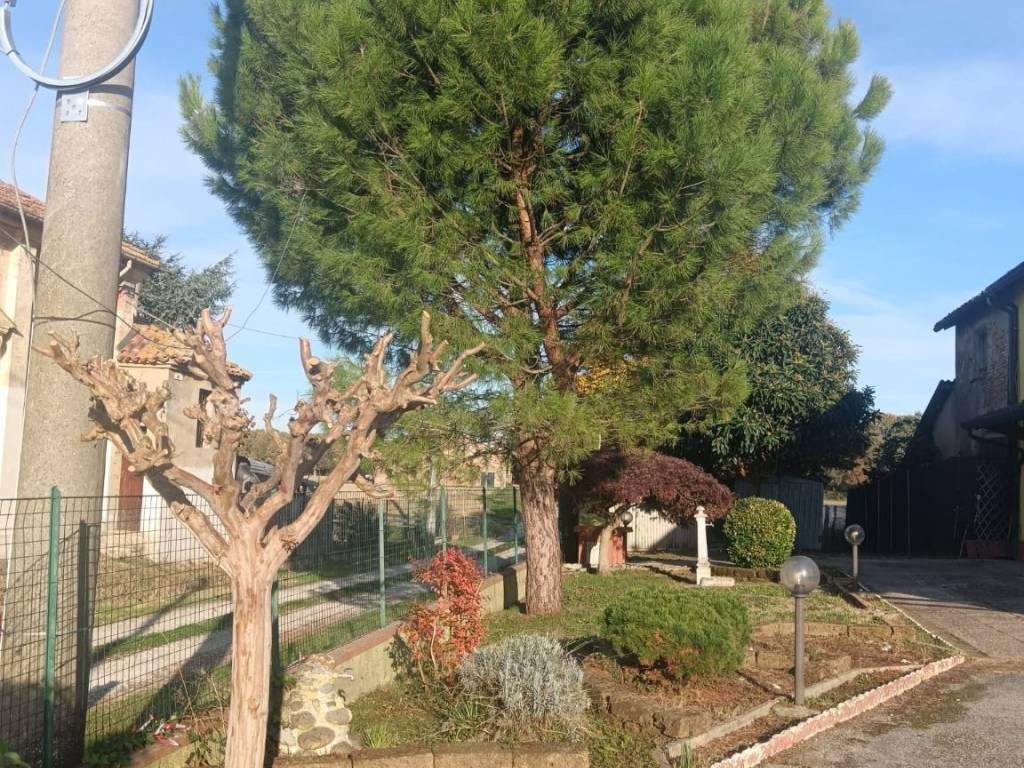 Appartamento a Argenta in Via Molinellina - Foto 4
