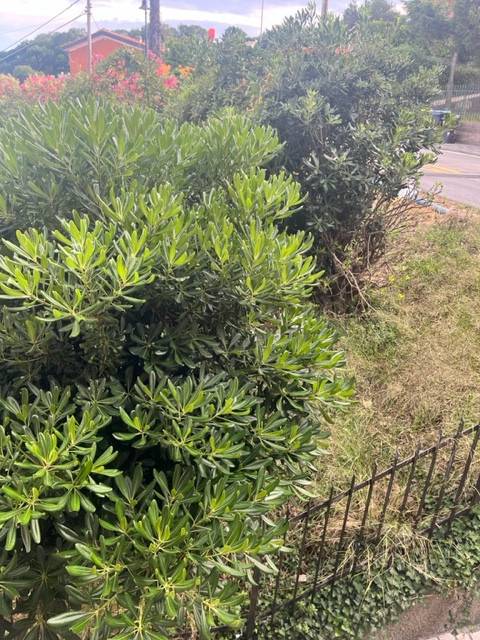 Appartamento a Bergeggi in Via Millelire - Foto 2