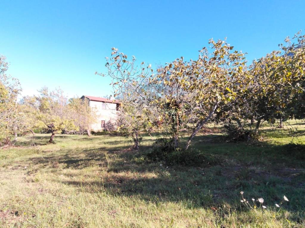 Rustico / casale a Melizzano in Strada Provinciale Sannitica - Foto 3