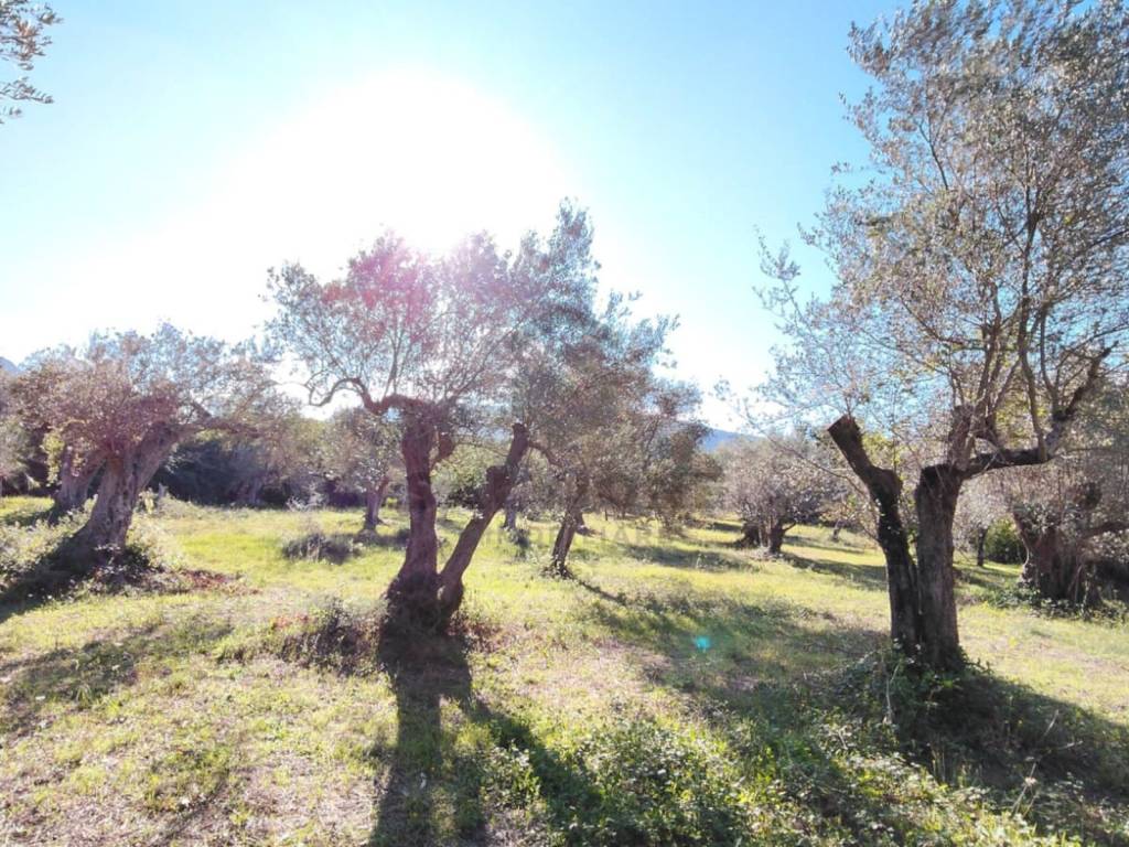 Rustico / casale a Melizzano in Strada Provinciale Sannitica - Foto 4