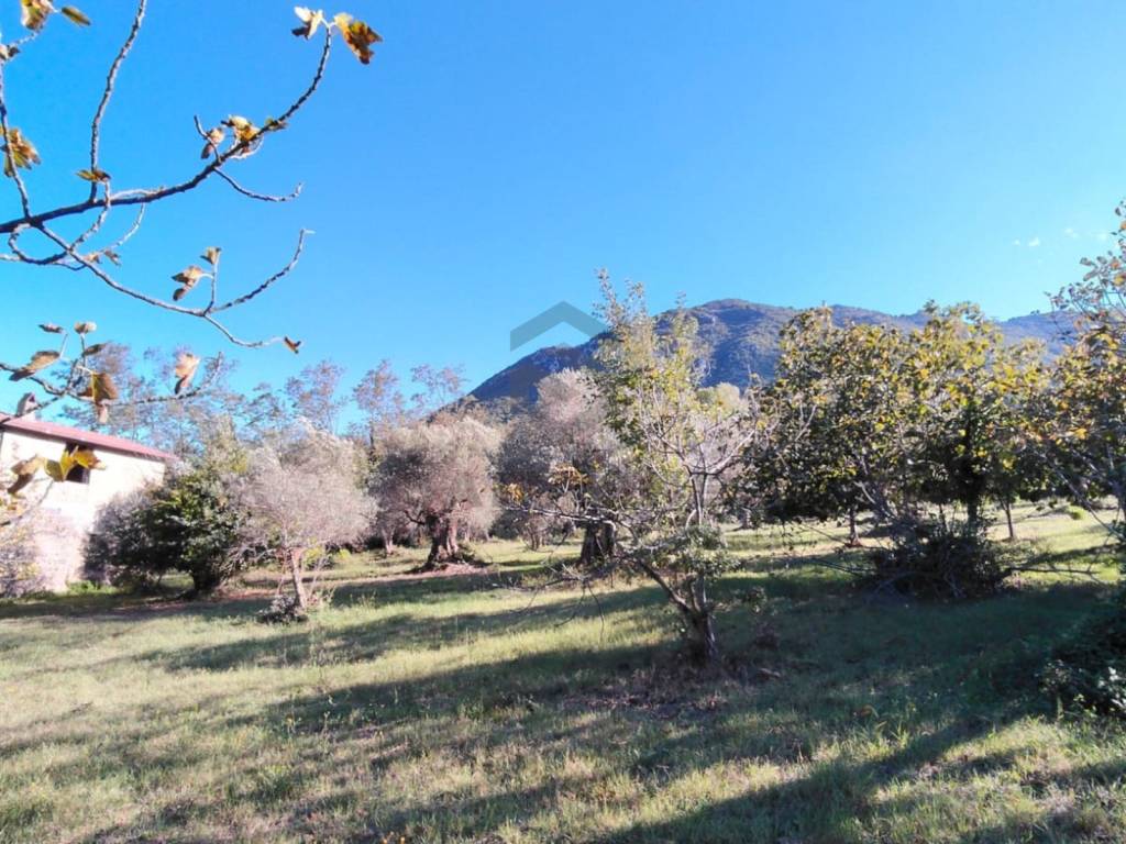 Rustico / casale a Melizzano in Strada Provinciale Sannitica - Foto 5