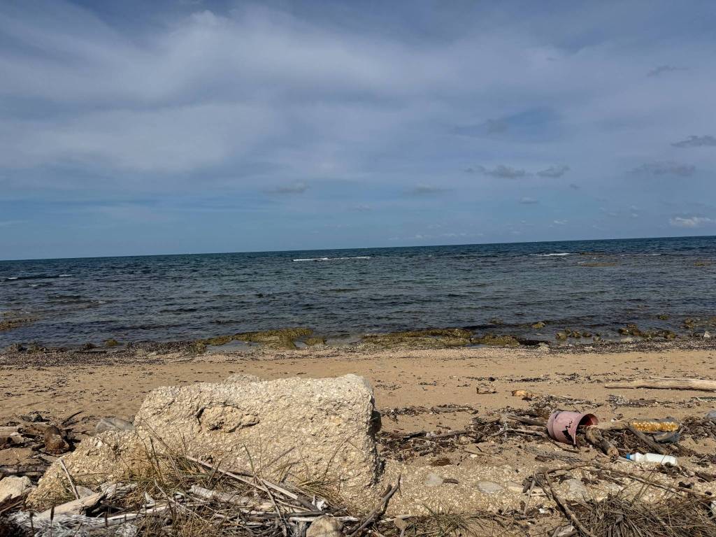 Terreno a Mola di bari in Strada Complanare Est - Foto 2