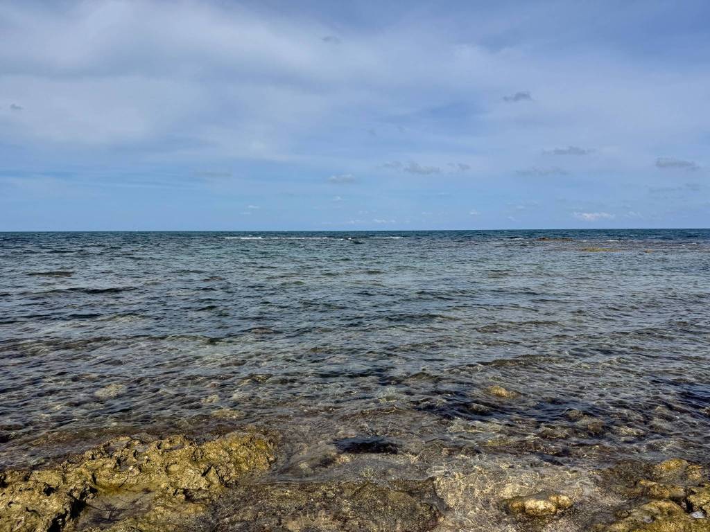 Terreno a Mola di bari in Strada Complanare Est - Foto 5