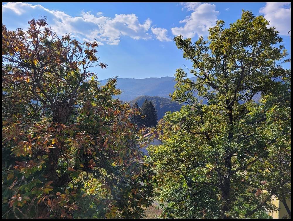 Appartamento a Urbe in Via Vara Superiore, 27 - Foto 5