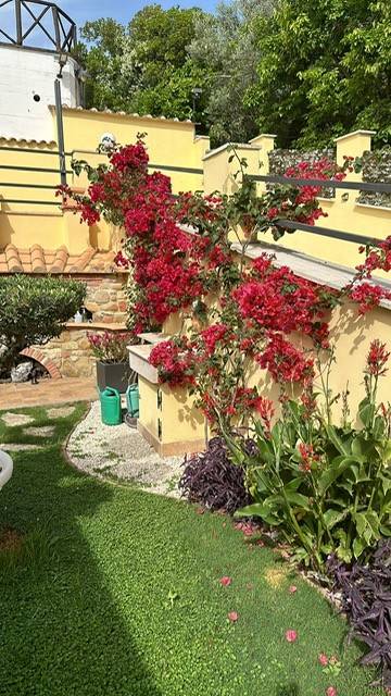 Villa a Mentana - Foto 5