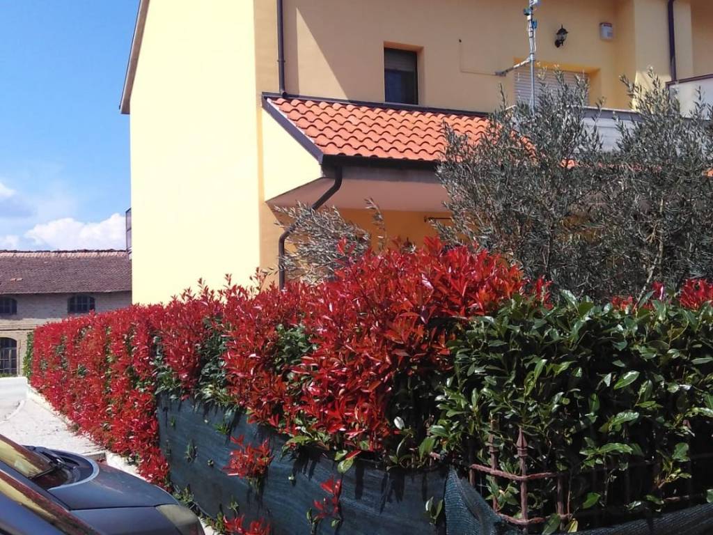 Villetta a schiera a Baranello in Via Domenico Carnevale - Foto 2