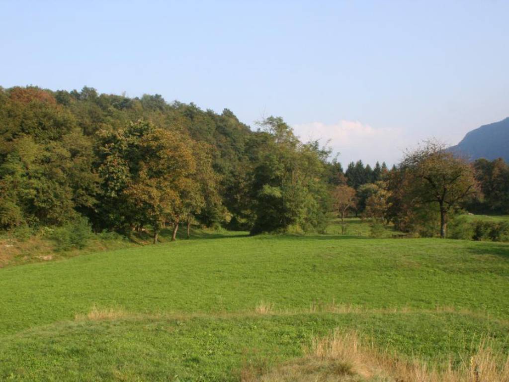 Rustico / casale a Dongo in Via Statale - Foto 5