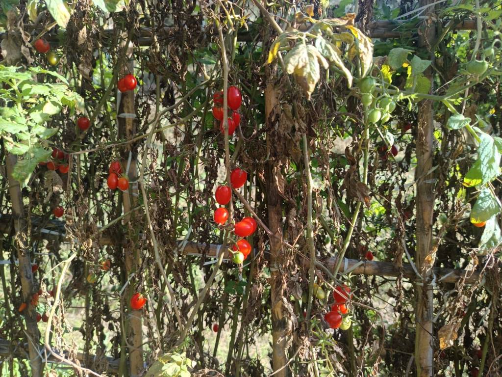 Terreno a San pier niceto in Contrada San Marco, 90 - Foto 2
