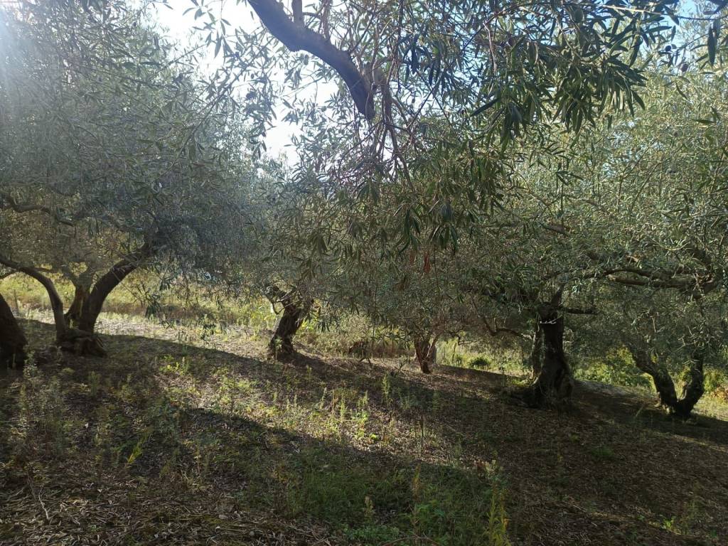 Terreno a San pier niceto in Contrada San Marco, 90 - Foto 4