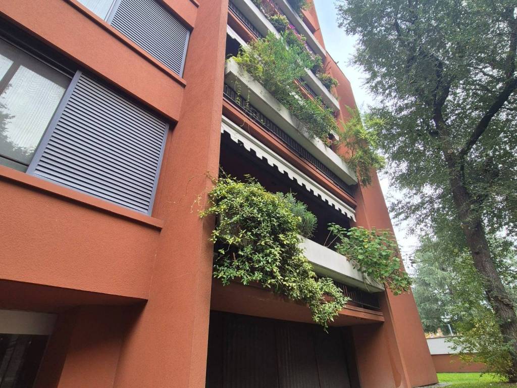 Appartamento a Basiglio in Via Giotto - Foto 5
