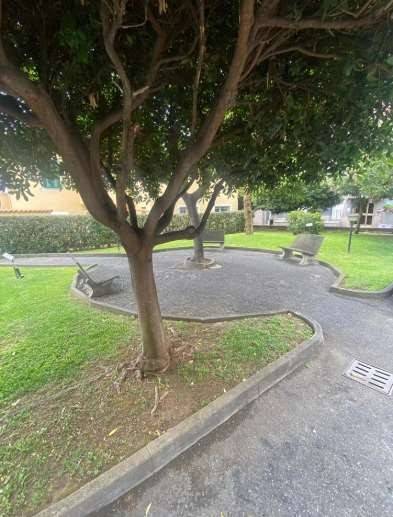 Appartamento a Ceriale in Via Mimose - Foto 2