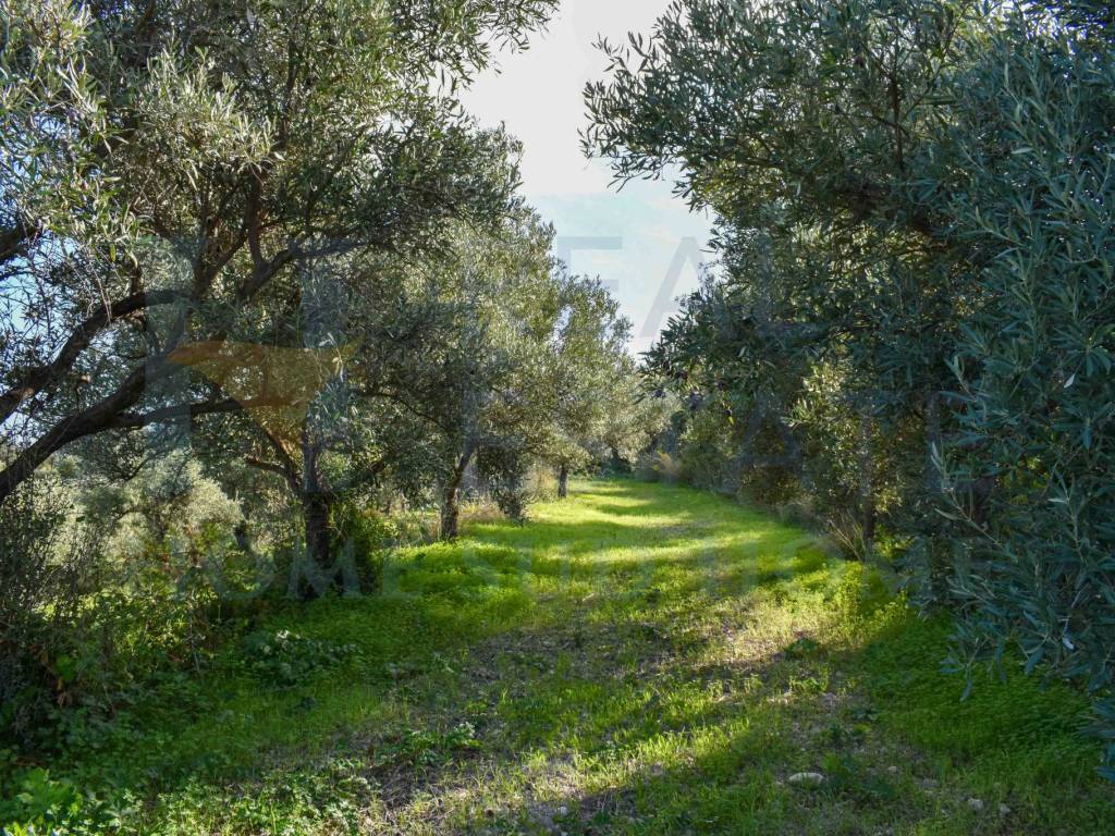 Terreno a Noto in Via Tommaso Fazello, 228 - Foto 2