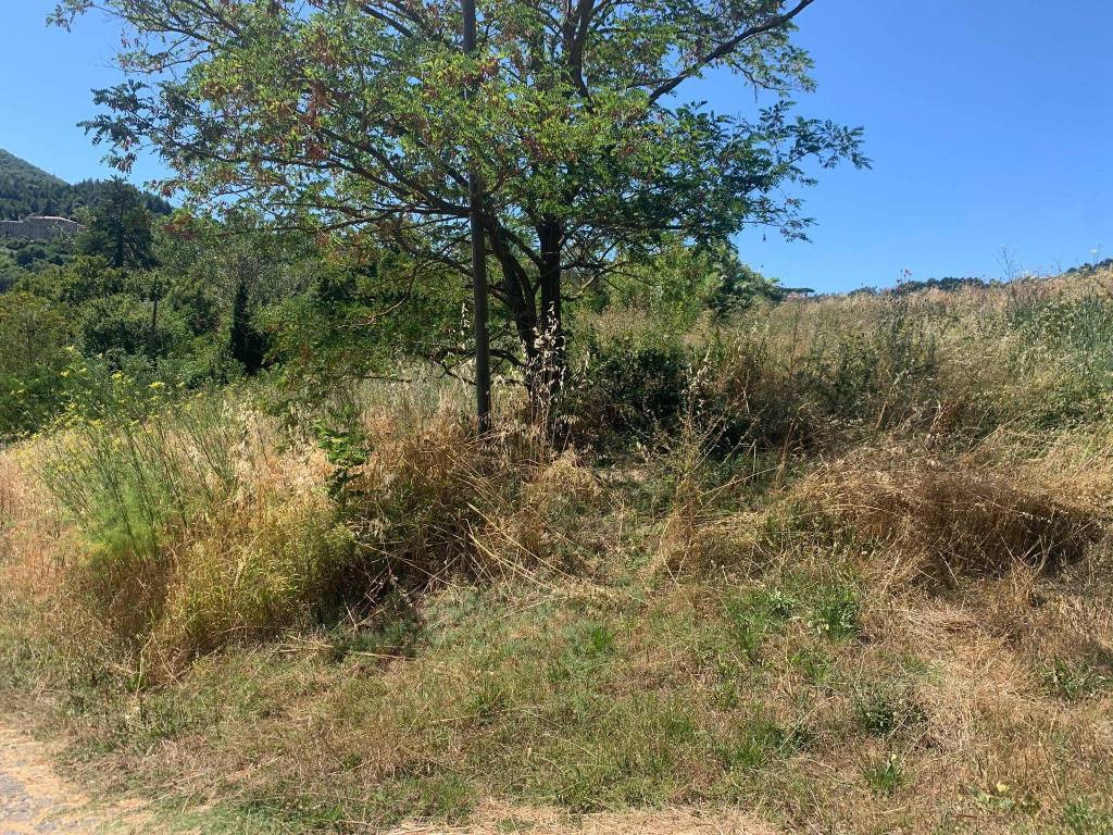 Terreno a Castelnuovo di val di cecina - Foto 2