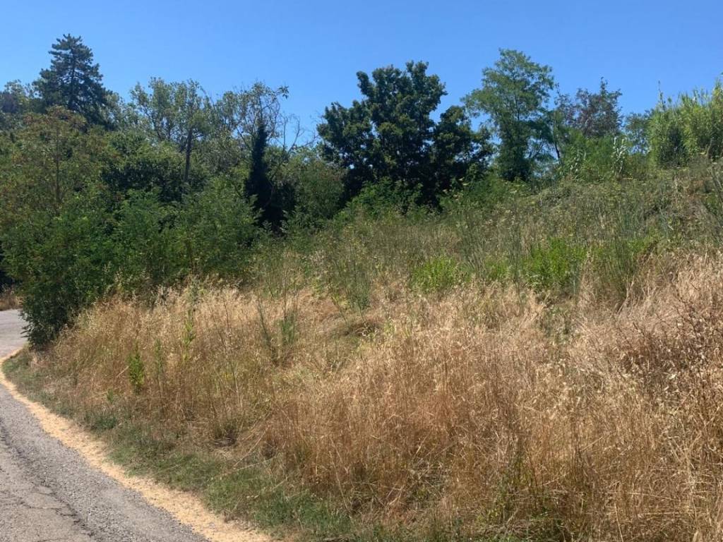 Terreno a Castelnuovo di val di cecina - Foto 3