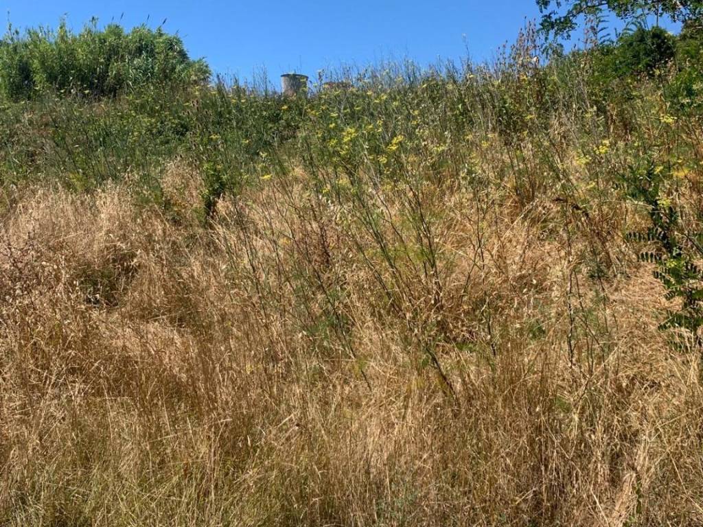 Terreno a Castelnuovo di val di cecina - Foto 4