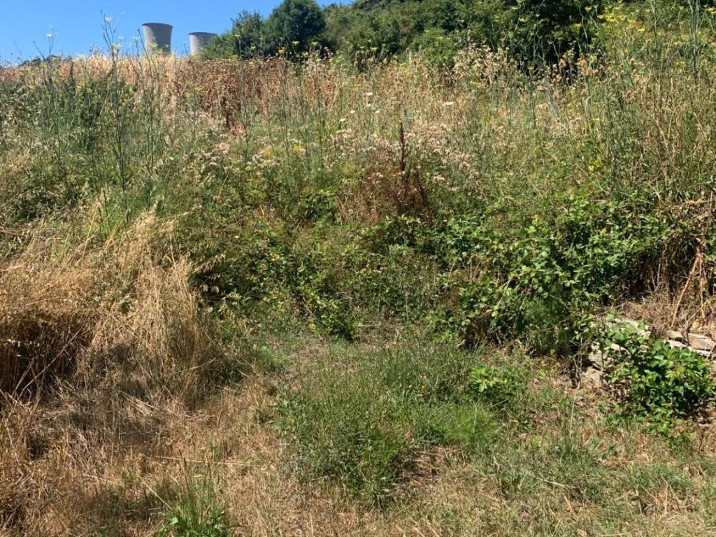 Terreno a Castelnuovo di val di cecina - Foto 5