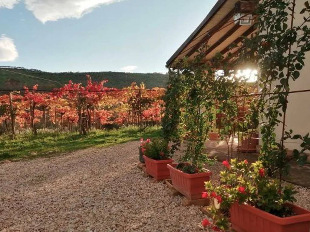 Villa a Loreto aprutino in Contrada Pretore, 20 - Foto 5