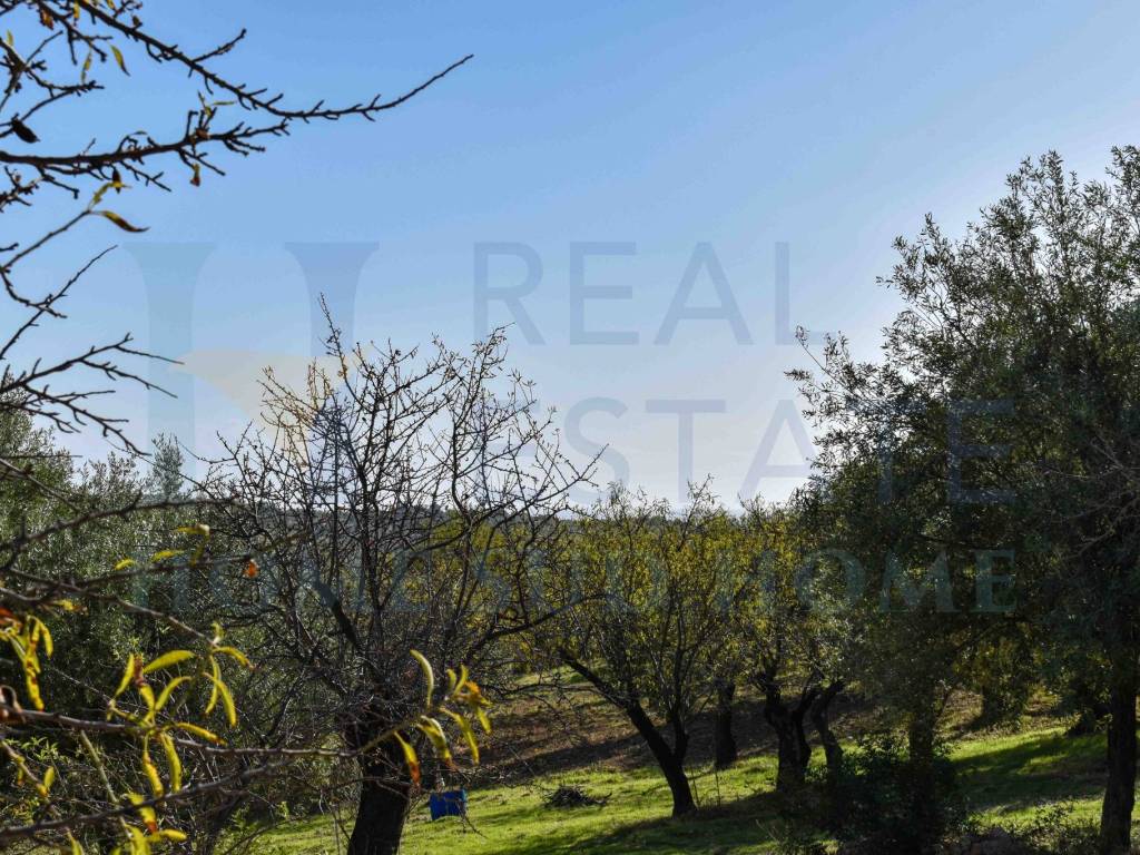 Terreno a Noto in Via Tommaso Fazello, 228 - Foto 2