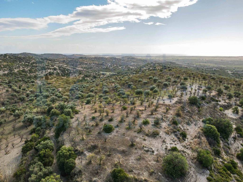 Terreno a Noto in Via Tommaso Fazello, 228 - Foto 3