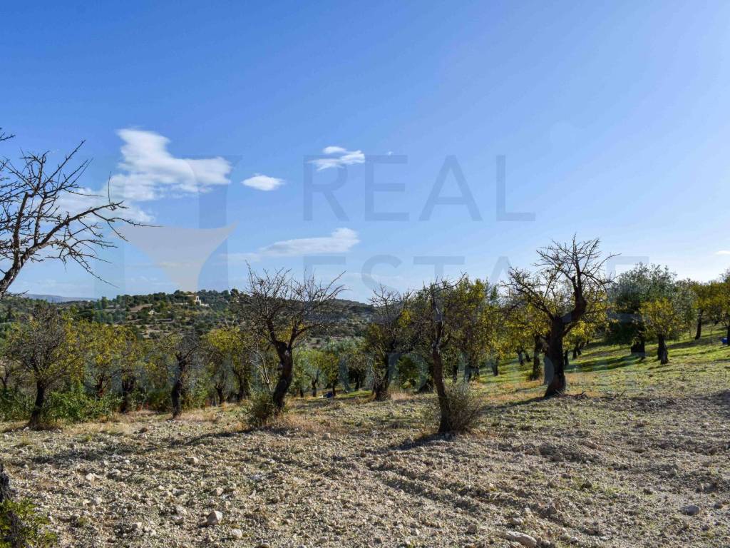 Terreno a Noto in Via Tommaso Fazello, 228 - Foto 4