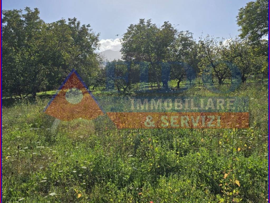 Terreno a Somma vesuviana in Via Marigliano - Foto 4